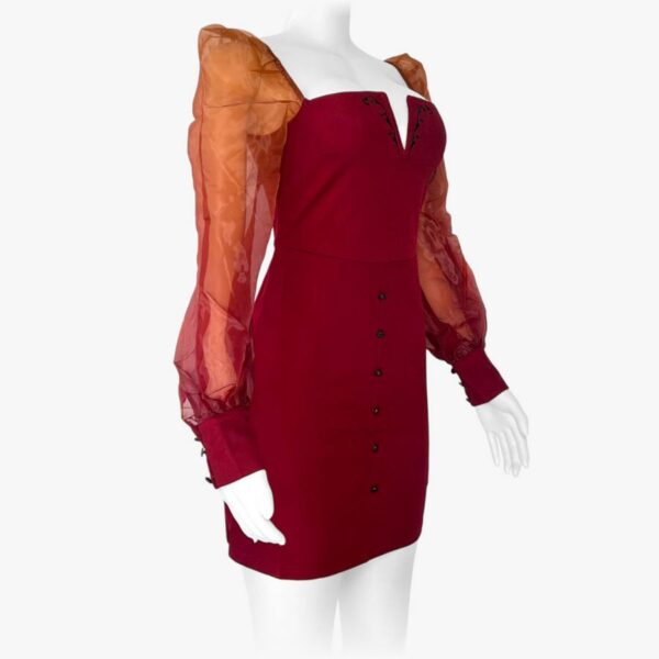 Burgundy Bodycon Dress with Sheer Puff Sleeves - Elegant V-Neck Mini Dress